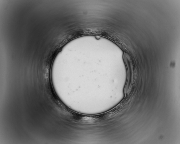 X0000102370699200808291249