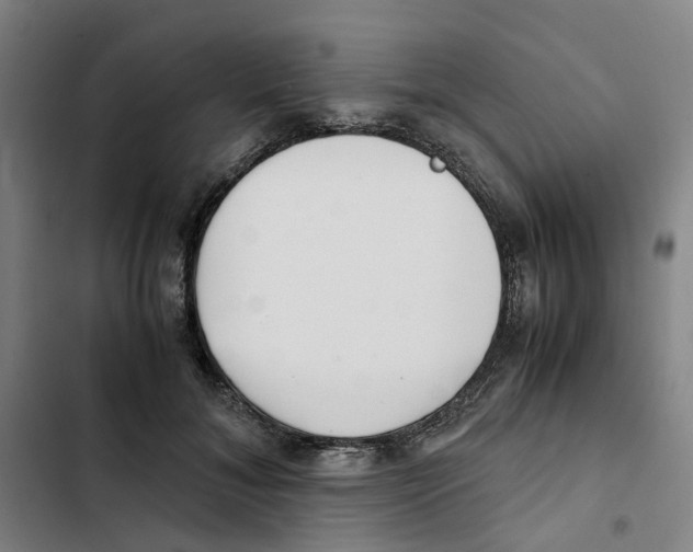 X0000102370700200808291249