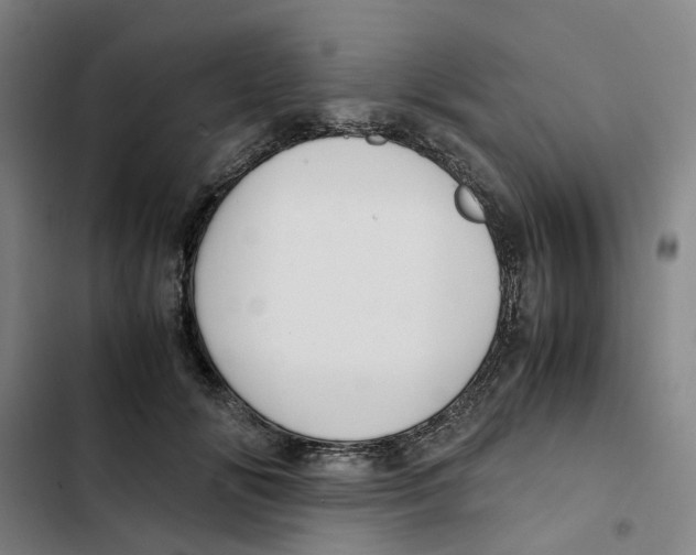 X0000102370702200808291249