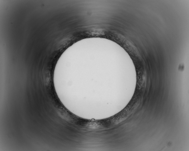 X0000102370704200808291249