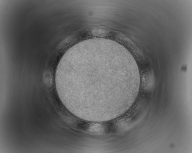 X0000102370705200808291249