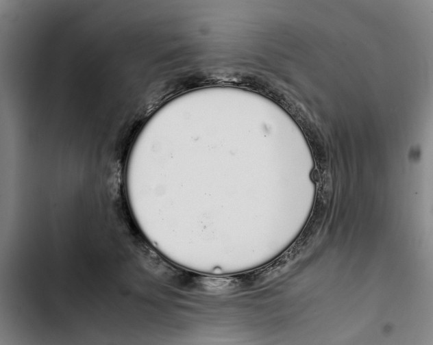 X0000102370707200808291249