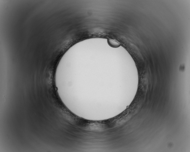 X0000102370708200808291249