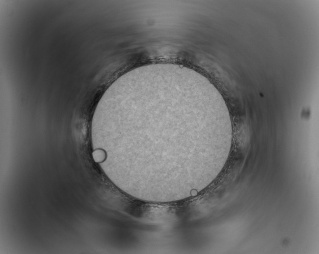 X0000102370709200808291249