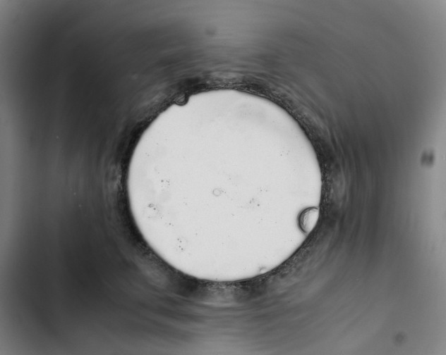 X0000102370711200808291249