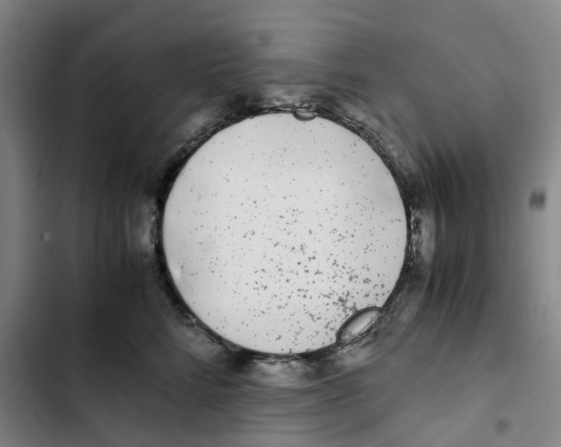 X0000102370712200808291249