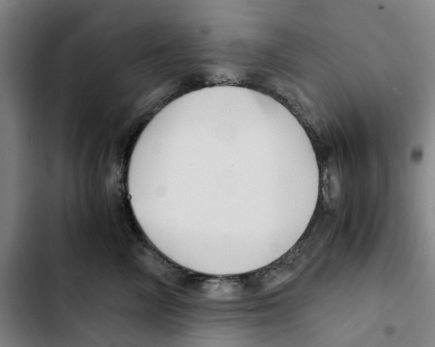 X0000102370714200808291249