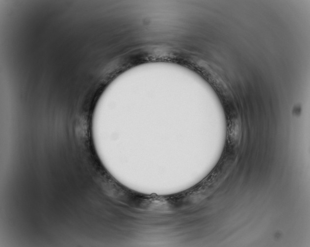X0000102370715200808291248