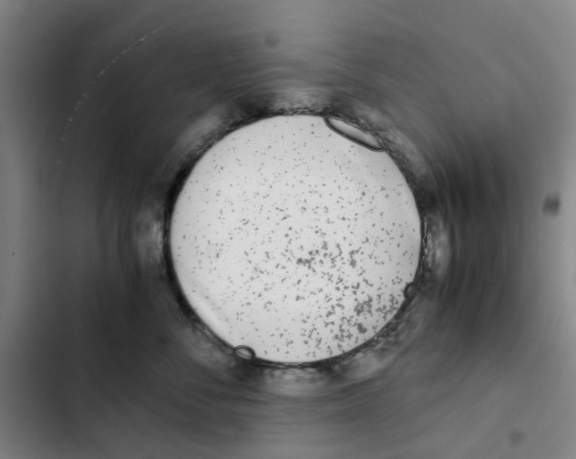 X0000102370716200808291248