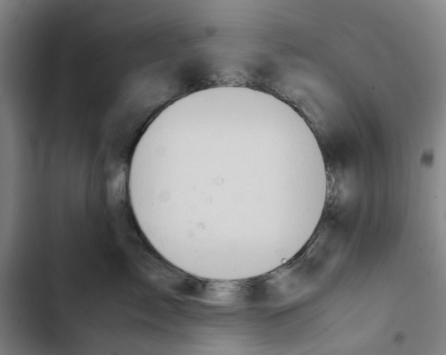 X0000102370717200808291248