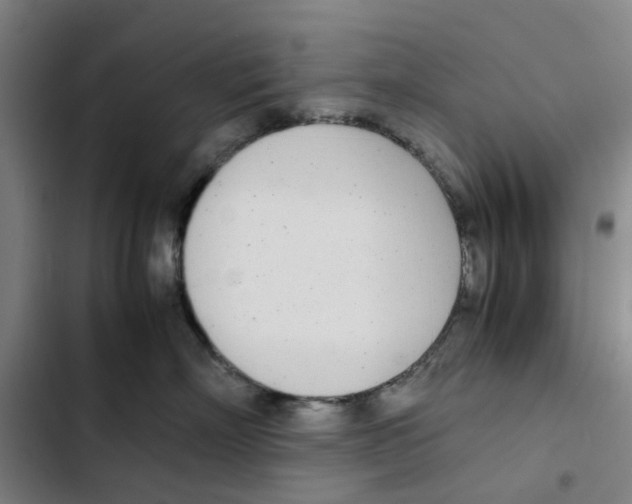 X0000102370718200808291248