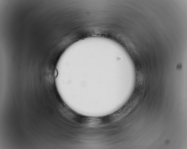 X0000102370719200808291248
