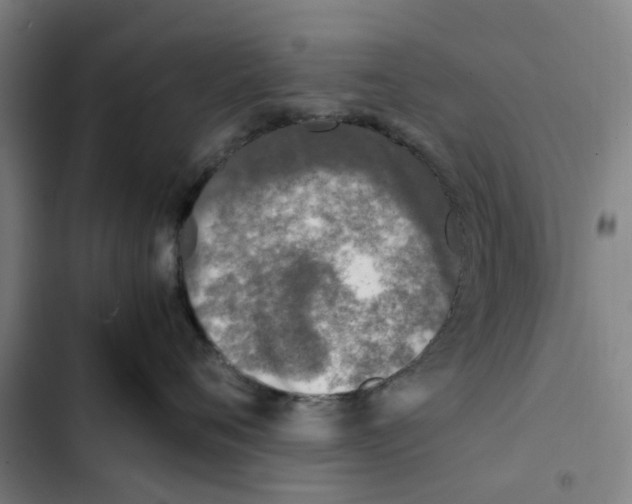 X0000102370720200808291248