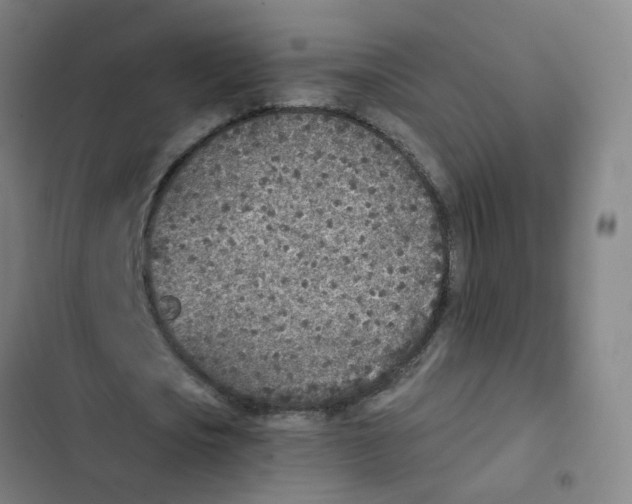 X0000102370721200808291248