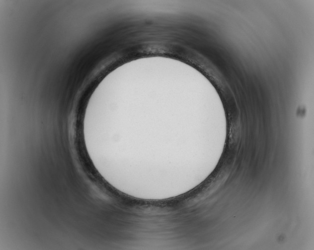 X0000102370722200808291248
