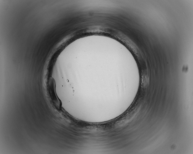 X0000102370724200808291248