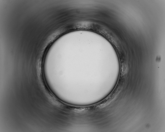 X0000102370725200808291248