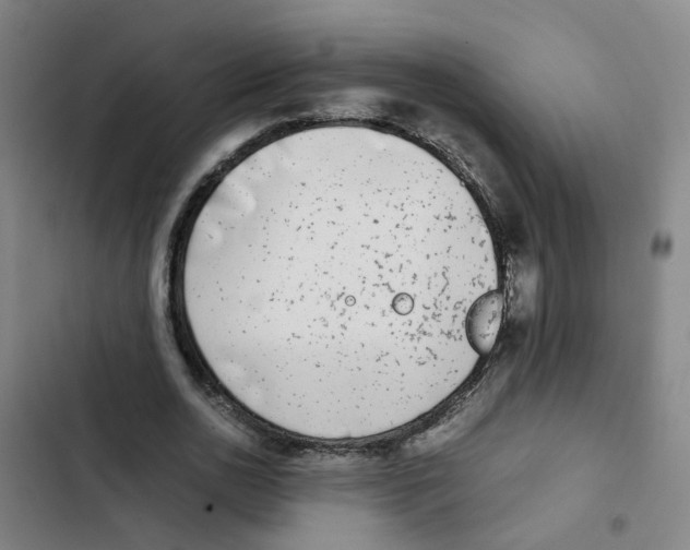 X0000102370726200808291248