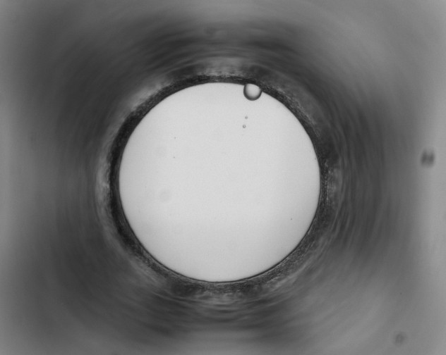 X0000102370727200808291248