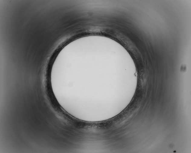 X0000102370728200808291248