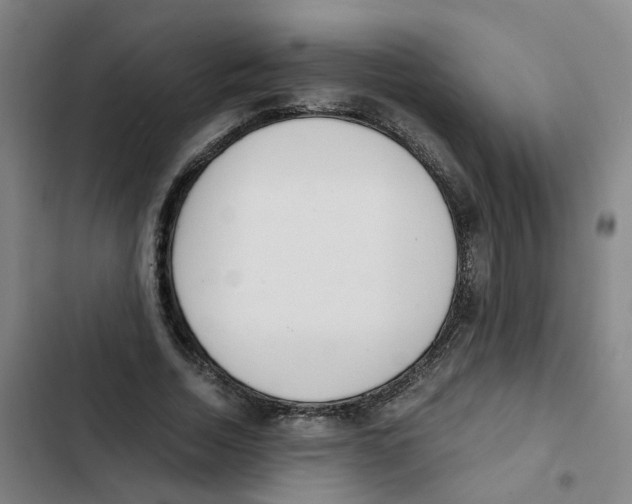 X0000102370730200808291248