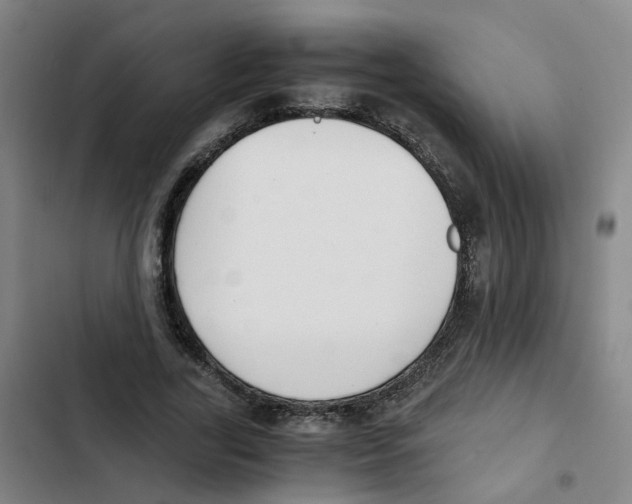 X0000102370731200808291248