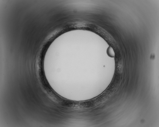 X0000102370732200808291248