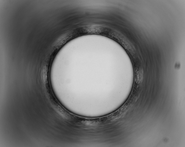 X0000102370733200808291248