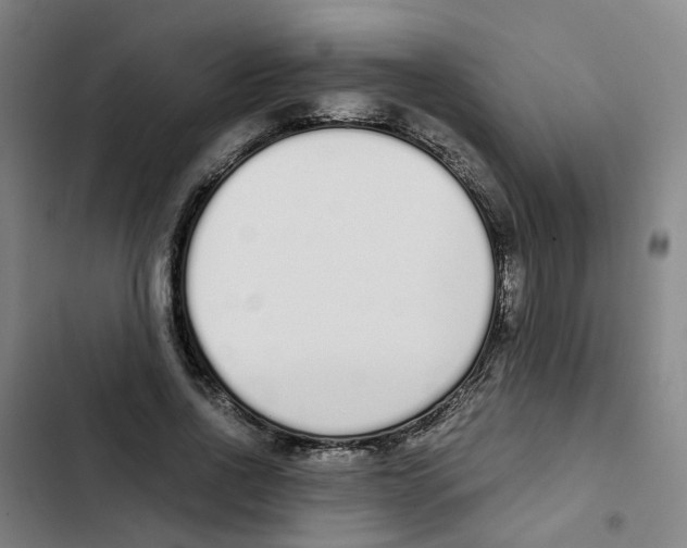 X0000102370734200808291248
