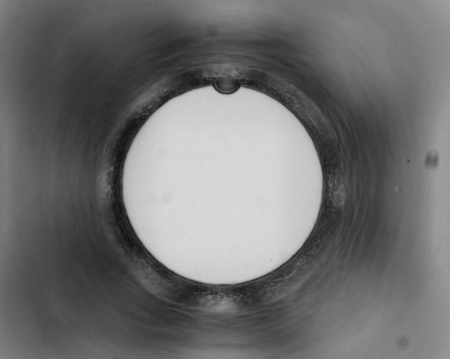 X0000102370735200808291248
