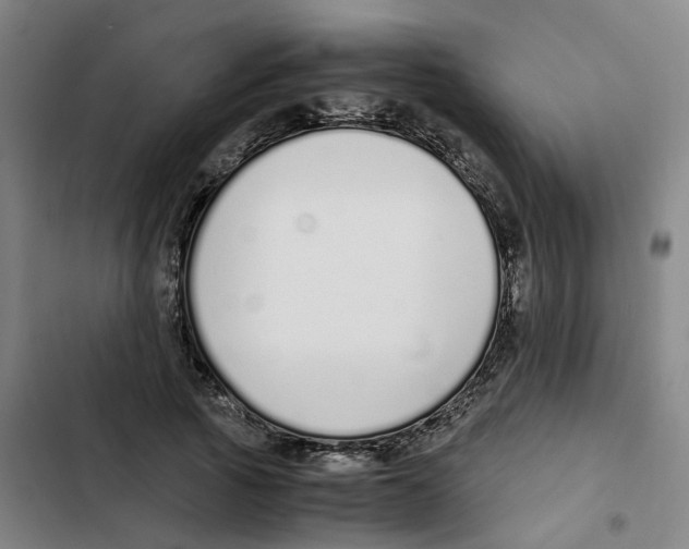 X0000102370737200808291248