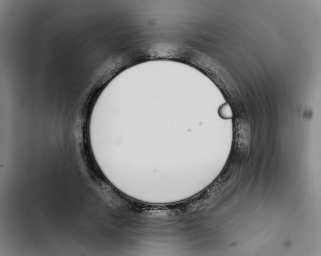 X0000102370738200808291248