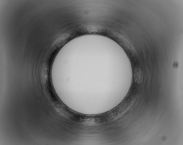 X0000102370740200808291248