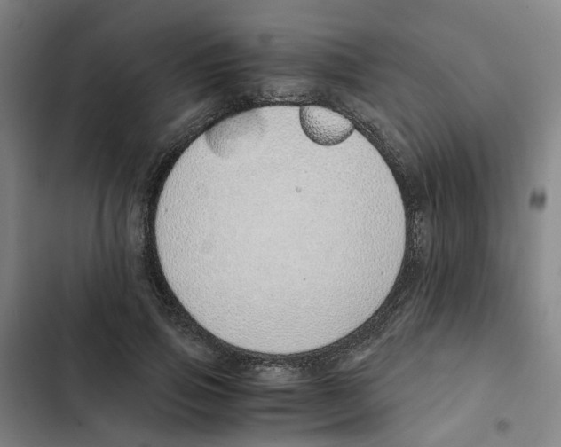 X0000102370741200808291248
