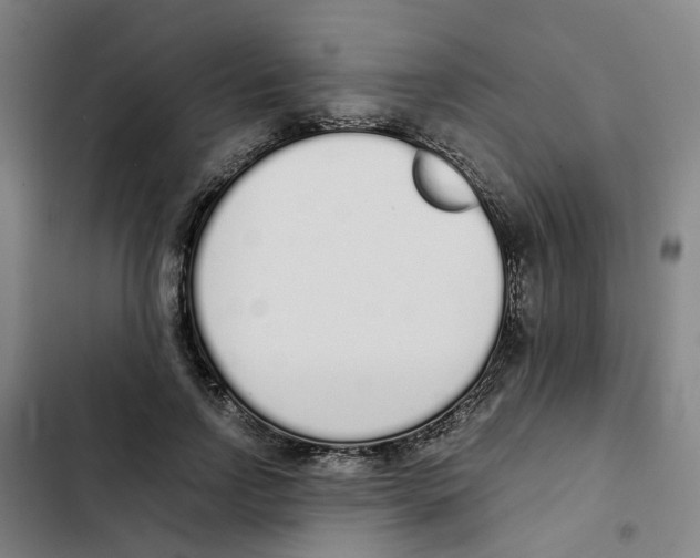 X0000102370742200808291248