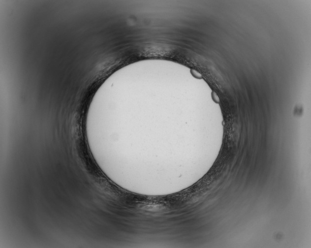 X0000102370743200808291248