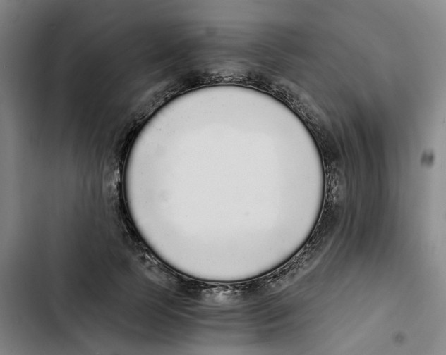 X0000102370745200808291248