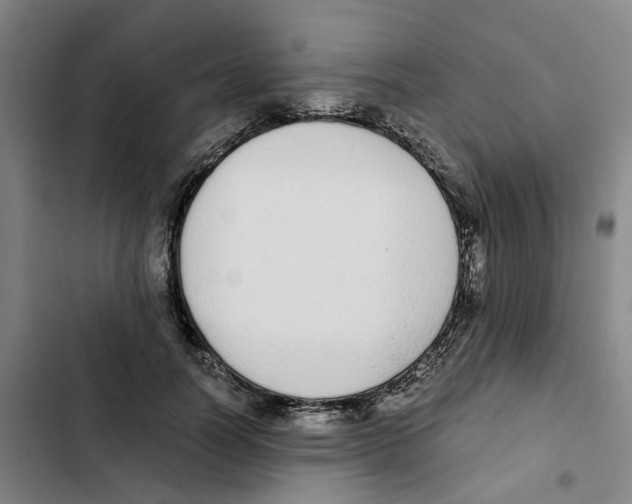 X0000102370746200808291248