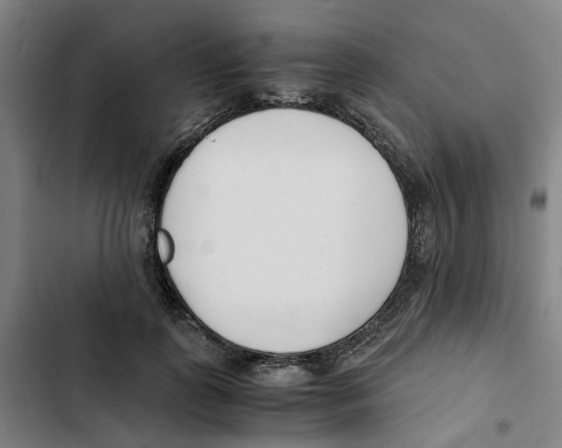 X0000102370747200808291248