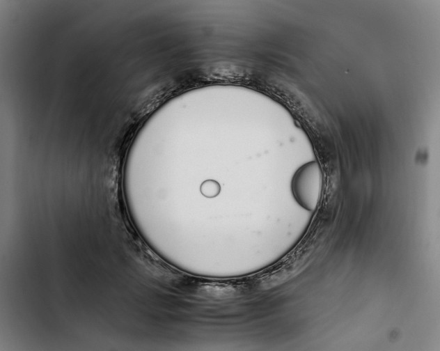 X0000102370749200808291248