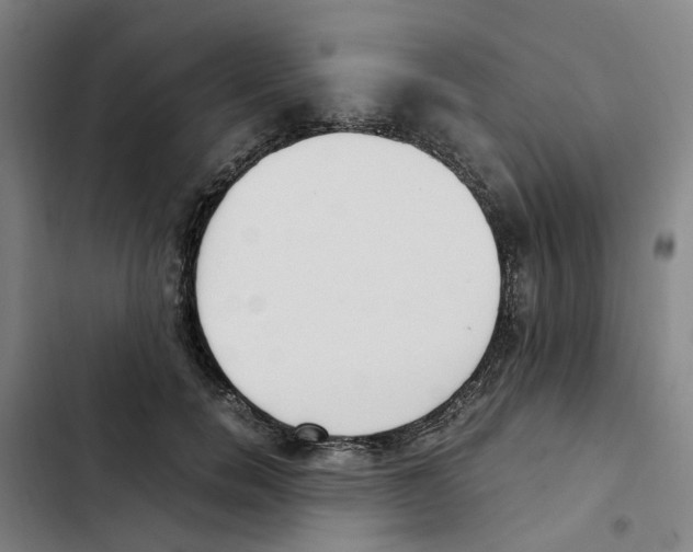 X0000102370750200808291248