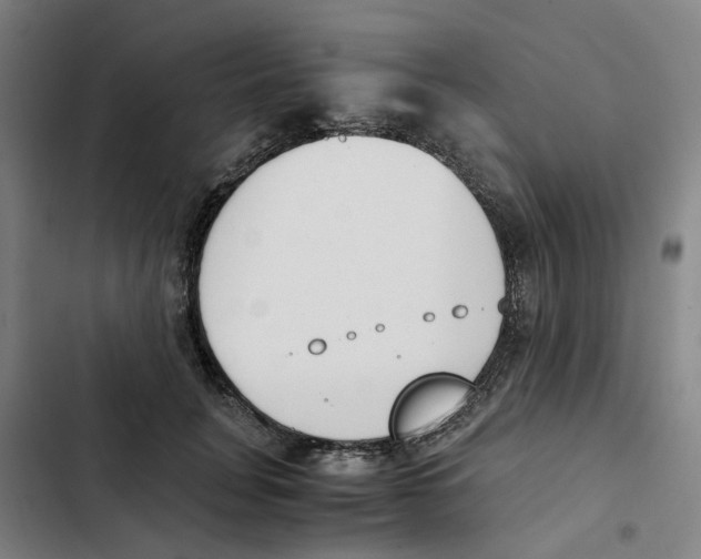X0000102370751200808291248