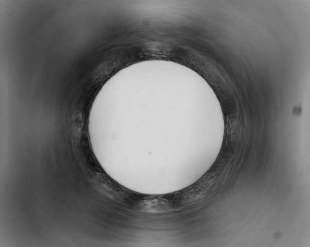 X0000102370752200808291248