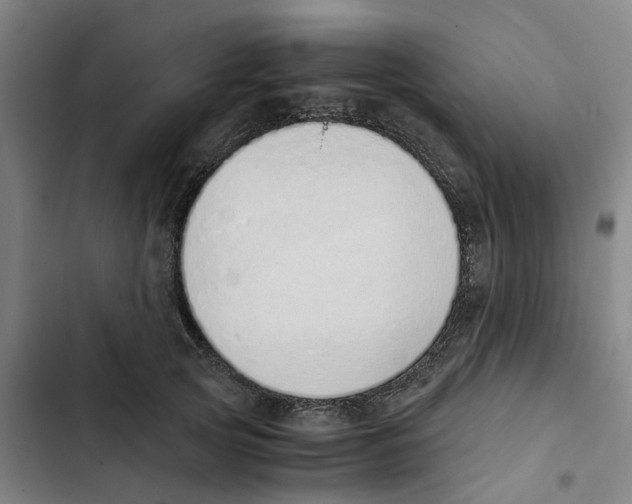 X0000102370753200808291248