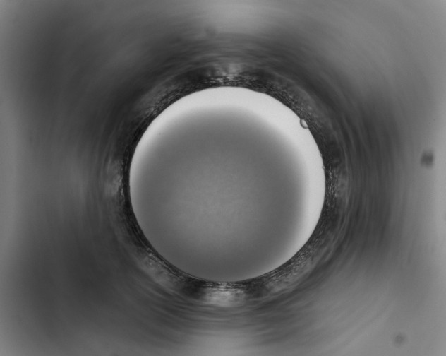 X0000102370754200808291248