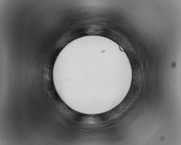 X0000102370755200808291248