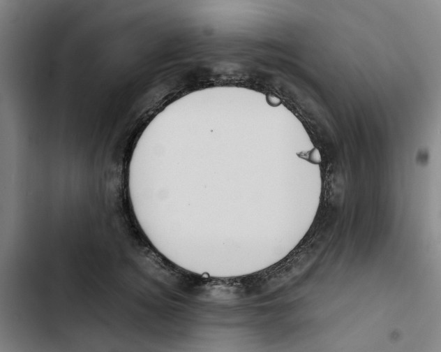 X0000102370756200808291248
