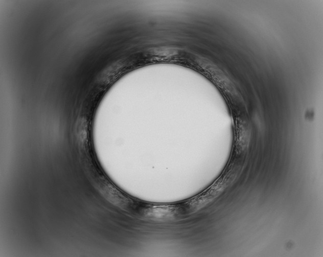 X0000102370758200808291248
