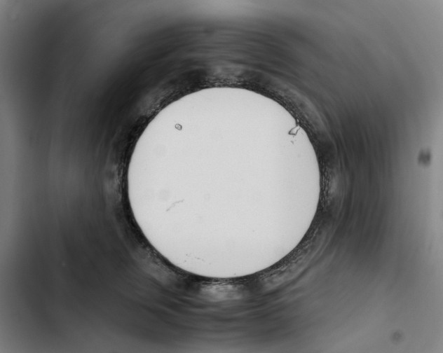 X0000102370759200808291248