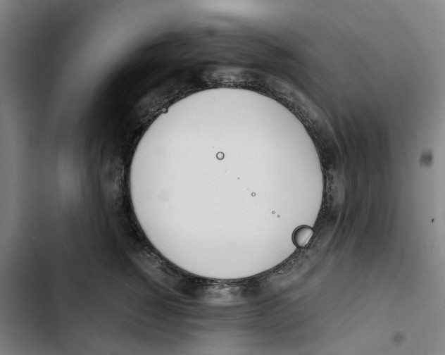 X0000102370760200808291248